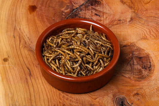 Dried Mealworms